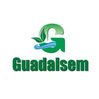 Guadalsem (@guadalsem) 's Twitter Profile