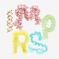 IMPRS on Cellular Biophysics(@imprs_cbp) 's Twitter Profile Photo