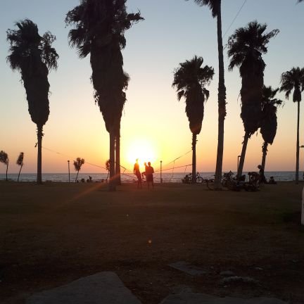 U1xpu4o2QJDdVWW's profile picture. החיים הם חלום שעדיין לא התגשם