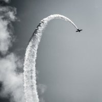 Bitcoin TRADER NutterFlight (@nutterflight) 's Twitter Profile