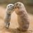Choupi_and_co's profile image