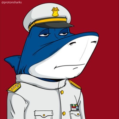 Proton Sharks ⚛️さんのプロフィール画像