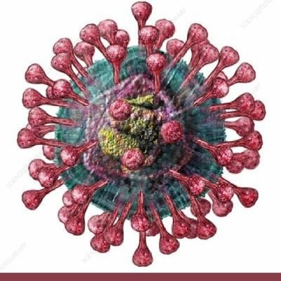 gianpao72491697's profile picture. covid19