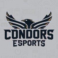 Condors Esports(@condorsesports) 's Twitter Profile Photo