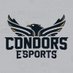 Condors Esports (@condorsesports) Twitter profile photo