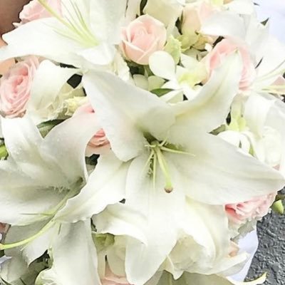 taimee_luv's profile picture. 心が躍る方へ🩷たいぴーすふる