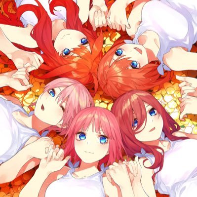 5toubun_n Profile Picture