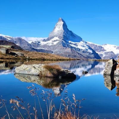 hombishrek's profile picture. 