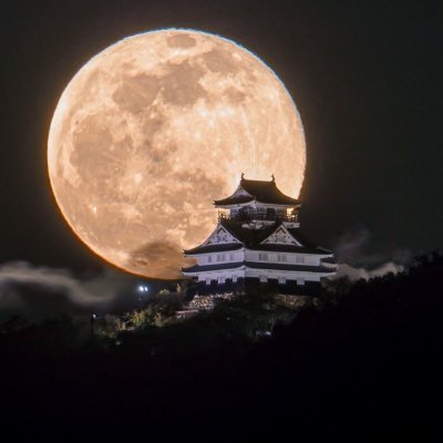 yukiko0920286's profile picture. 