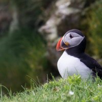 Rural Resilience Research Group (@resiliencerural) 's Twitter Profile Photo