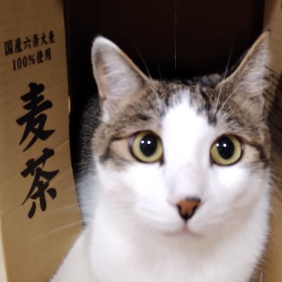 ブロガーとしてIT技術やDIY、レビュー系のブログ(https://t.co/IhRtyjcAmI)書いてます。 猫2匹飼ってます。YoutTube【ちろぎチャンネル】で動画を投稿してます。 趣味はアウトドア、車、マンガ。 情報商材とかの勧誘系のDMは返信しません
