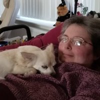 Sarah 👩‍🦼 (@spoonydoc) Twitter profile photo