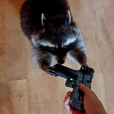 EgoDeathStudio's profile picture. Artist management