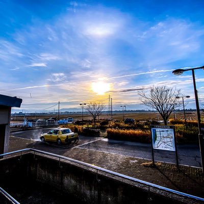 Delphinus56567's profile picture. インフラ系SE/音楽/ロードバイク/スニーカー