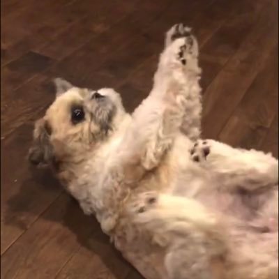 tl19980221's profile picture. 