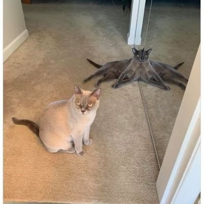 NOINANA_NANA's profile picture. เบื่อโลกว่ะ