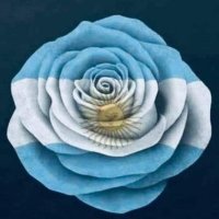 Luna Cercana (@luna_cercana) 's Twitter Profile Photo