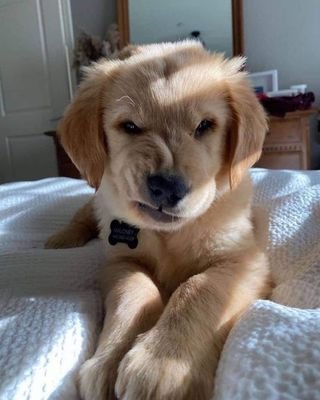 Leonard31833680's profile picture. Leonardo