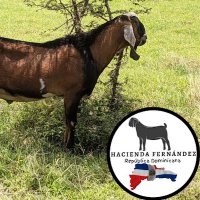Hacienda Fernandez (@haciendaf_rd) 's Twitter Profile