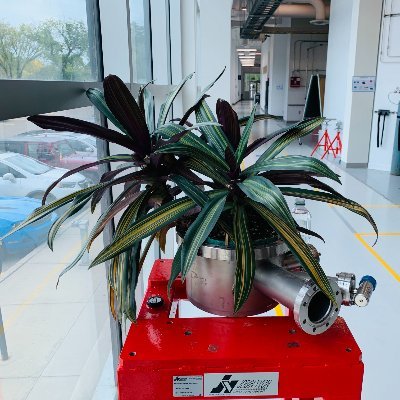 I am a humble plant. I live by the beamlines and bestow good fortune upon the scientists who visit me.