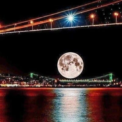 anadgy347's profile picture. 