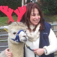 Tanya (@t4nyad) 's Twitter Profile