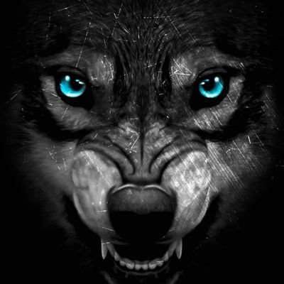 Rasec121212's profile picture. 