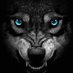 Lone Wolf 🐺 (@rasec121212) Twitter profile photo Lone Wolf 🐺 (@rasec121212) Twitter profile photo