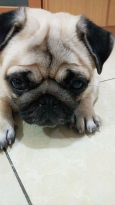 hungrycell30's profile picture. keep on fighting