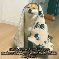 Mr. Papitas (@netovc87) 's Twitter Profile