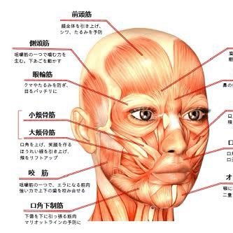 大阪でプライベートサロンしてます。悟空のきもち卒業生ヘッドマイスター＆安眠インストラクター/眠りの専門家/セラピスト歴8年/ドライヘッドスパの魅力に取り憑かれ人の頭に触れてないと落ち着かない依存性。