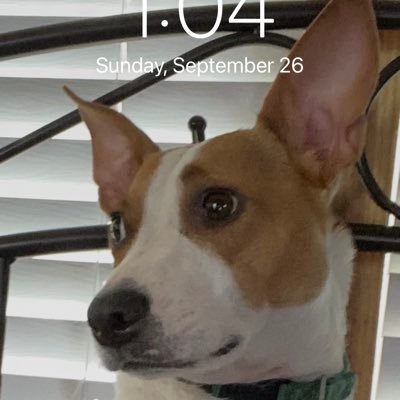 cathy_cdouglas's profile picture. Retired Teacher (Part-time Testing Center at Cisco College - Abilene)