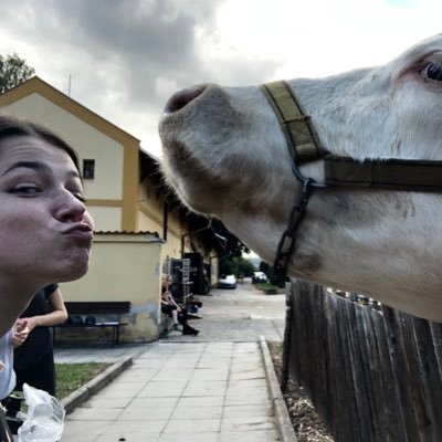 aala_janosova's profile picture. Alice in wonderland🪞