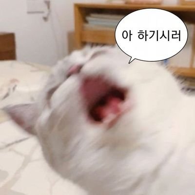 younamsaeng0's profile picture. 네존기/넷펀치