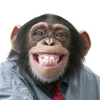 guhxvbrwvviwhuo's profile picture. Погроммист в НИИ Макакалогии и Обезьяноведения, психолог, философ. Shu/Her. Not LGBT friendly.