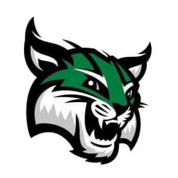 This page will be used to promote, highlight and inform everyone about the Green Boys Basketball program. Let’s keep the heat on in “The Furnace” and GO BOBCATS