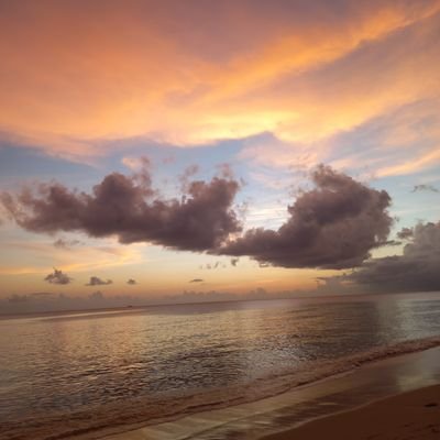 f4e_flex's profile picture. Forever and always🖤