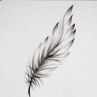 featherlite17's profile picture. Light as a feather