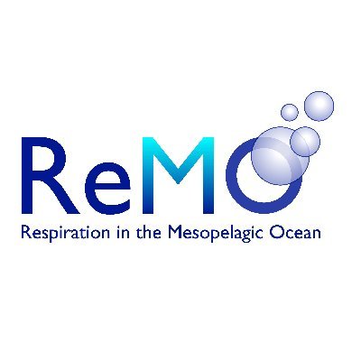 Scientific Committee on Oceanic Research (SCOR) Working Group 161 on Respiration in the Mesopelagic Ocean