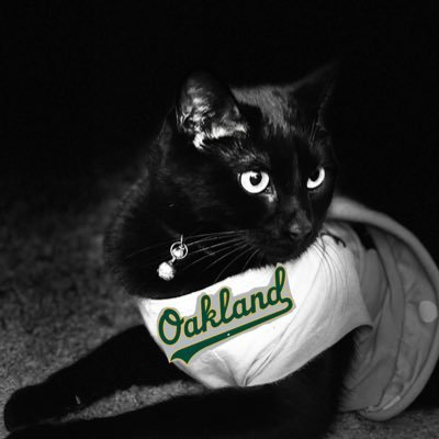 My name is Dee. I work on commercial Real Estate developments. I enjoy hiking, rum & rooting for the Oakland A's. Please take care of your pets 🐾