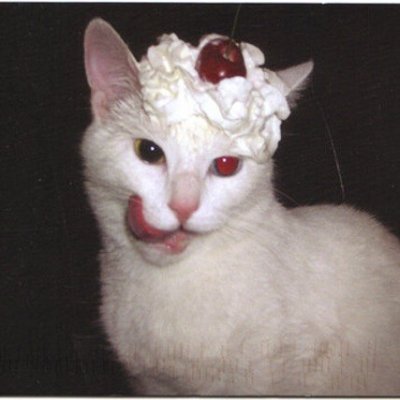 cydoさんのプロフィール画像