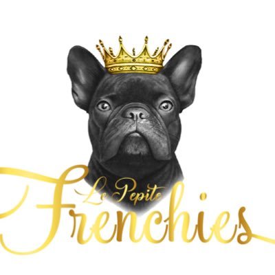 French Bulldog Breeder. Registered. Home to Osiris son of 🌍famous Mr Miyagi. Stud Service Available. Northern Va. Follow Fb, ig, TikTok, YouTube, and website!