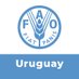 FAO en Uruguay (@faouruguay) Twitter profile photo FAO en Uruguay (@faouruguay) Twitter profile photo