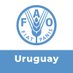 FAO en Uruguay (@FAOUruguay) Twitter profile photo