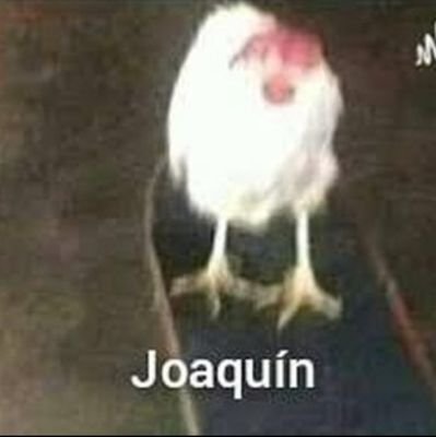 Chacarrón, chacarrón, macarrón, macarrón