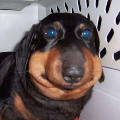 ETorkildsrud's profile picture. 17🇳🇴