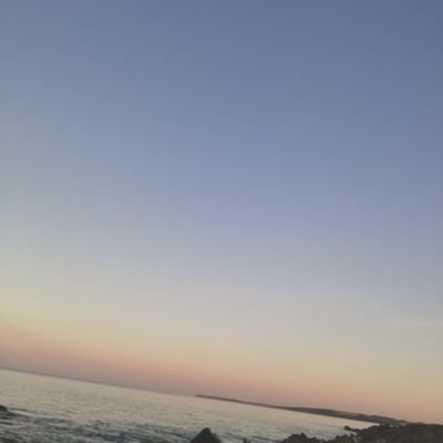amaalzaki's profile picture. 
