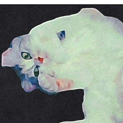 cphFF9lBGEmjSl6's profile picture. ネコ好きジジイです☺️