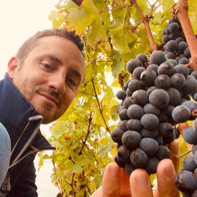 Château Latour - Responsable R&D Vigne. Œnologue.