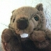 Jeff (@jeff_314) Twitter profile photo Jeff (@jeff_314) Twitter profile photo